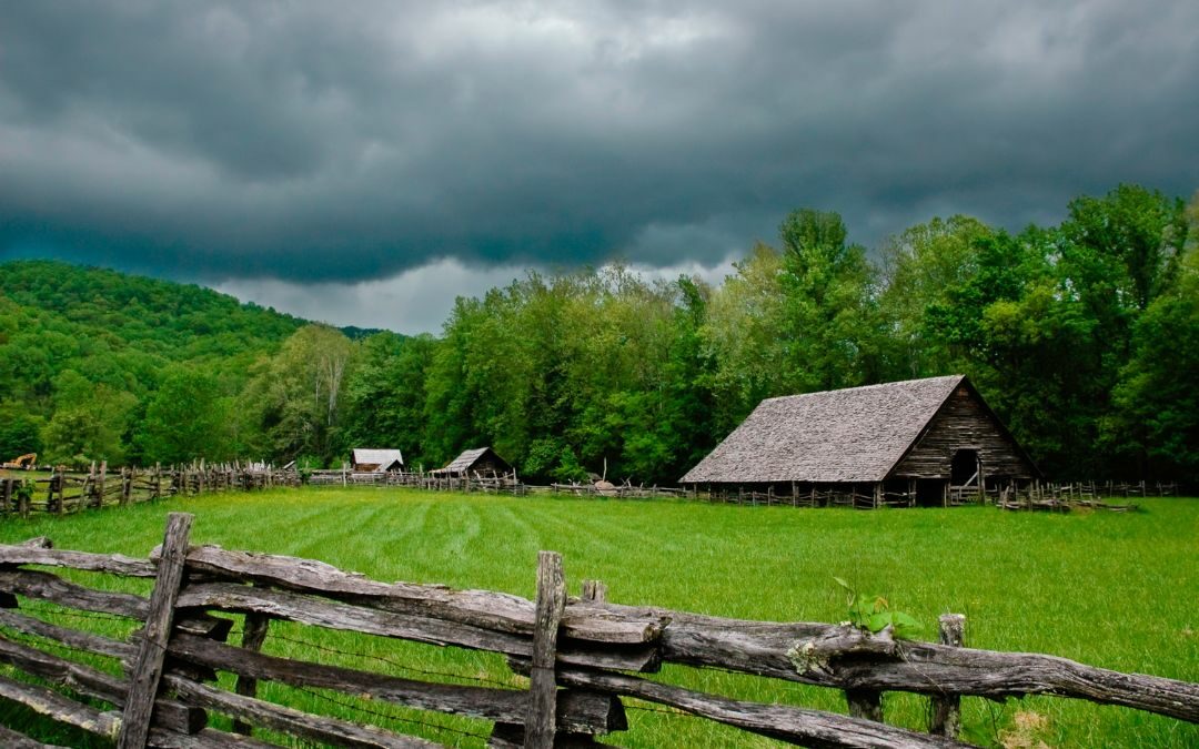 We Found 297 Genealogy Books about Kentucky Families