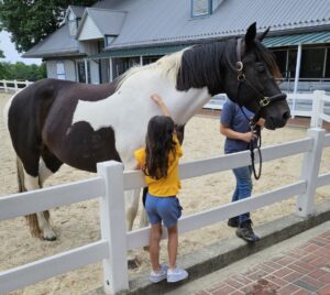 Girl petting a horse