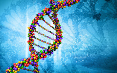 A Beginner’s Guide to Advanced DNA Analysis with GEDmatch