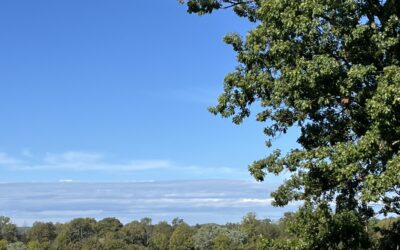 Beginner’s Guide to Researching Kentucky Land Grants