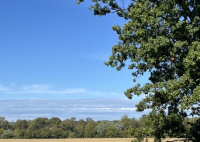 Beginner’s Guide to Researching Kentucky Land Grants