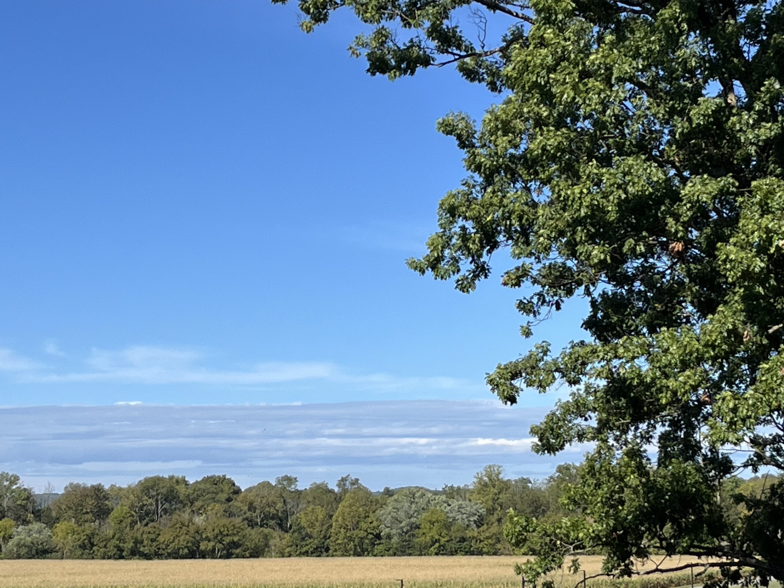 Beginner’s Guide to Researching Kentucky Land Grants