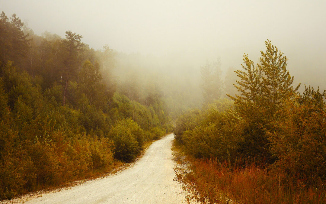 Kentucky Photographer Who Shaped a Region