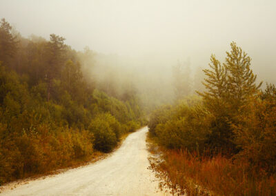 Kentucky Photographer Who Shaped a Region